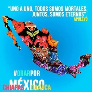 Meet your Posher, Chusy